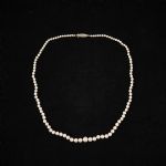 1067 6443 PEARL NECKLACE